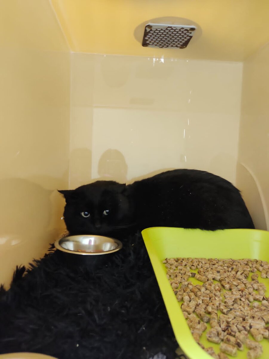 Блэк в клинике