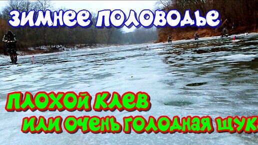 Половодье зимой. Плохой клёв, или очень голодная щука...