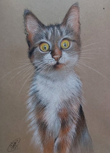 А4 , карандаши , пастель , крафт ..Источник изображения: https://vk.com/id5973829