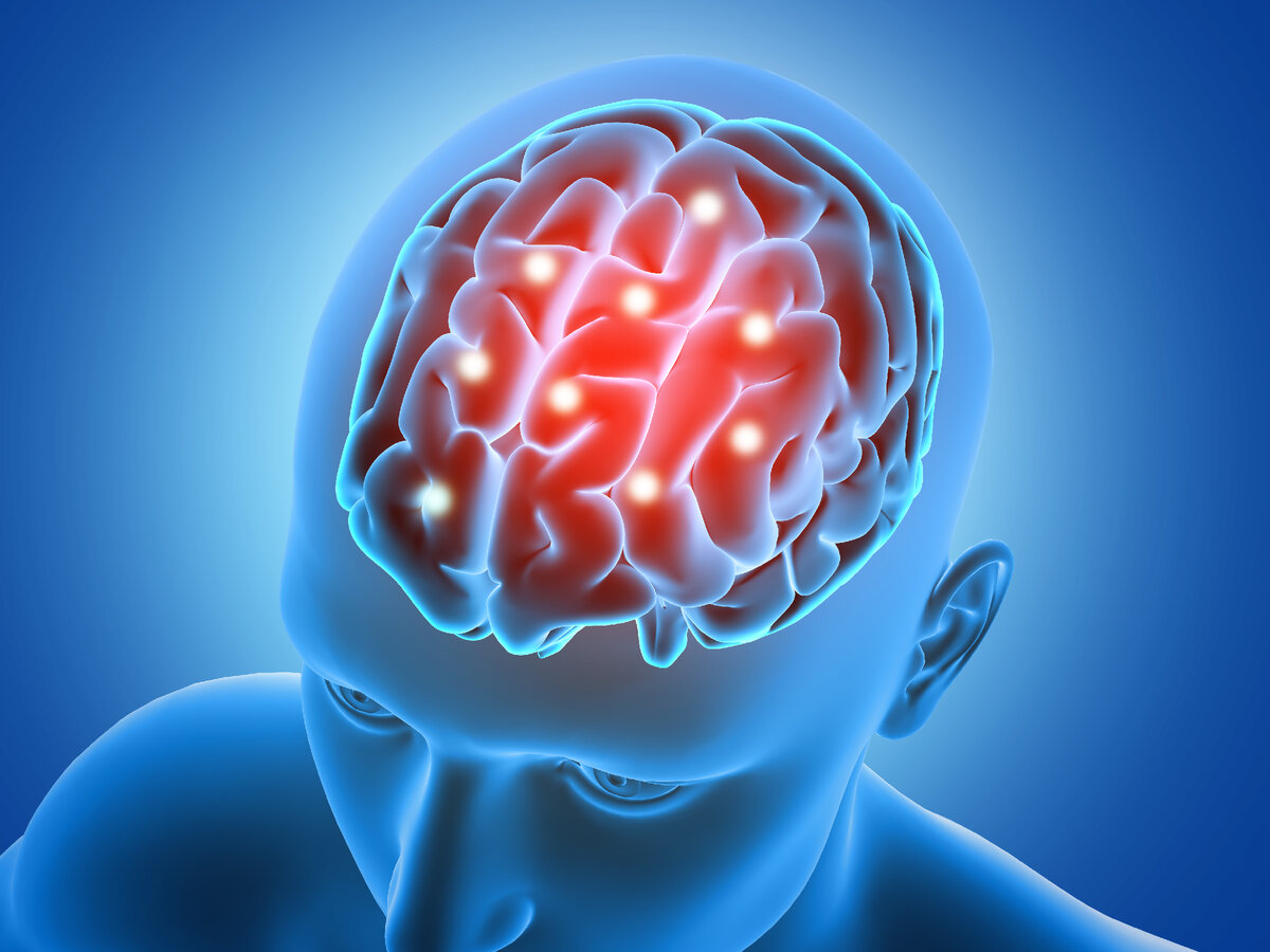 <a href="https://ru.freepik.com/free-photo/3d-medical-background-with-male-figure-with-brain-parts-highlighted_1212906.htm#query=brain&position=18&from_view=keyword">Изображение от kjpargeter</a> на Freepik