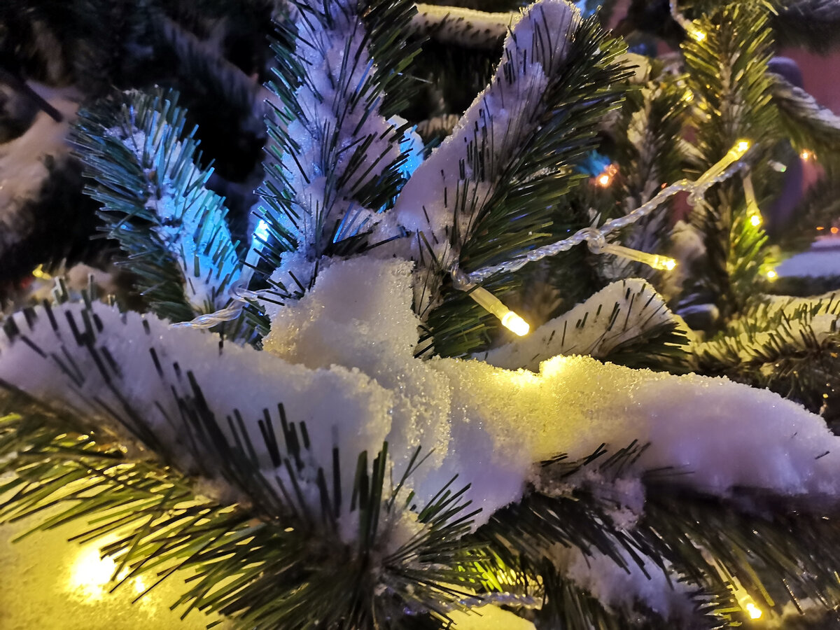 Фото автора. Елочка на площади города. 