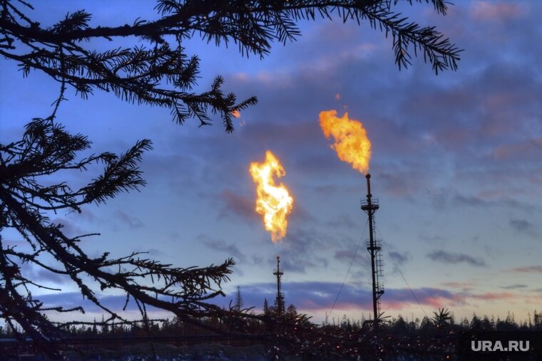    Германия и Франция заключили невыгодный контракт для поставок газа, заявил Жан-Филипп Танги