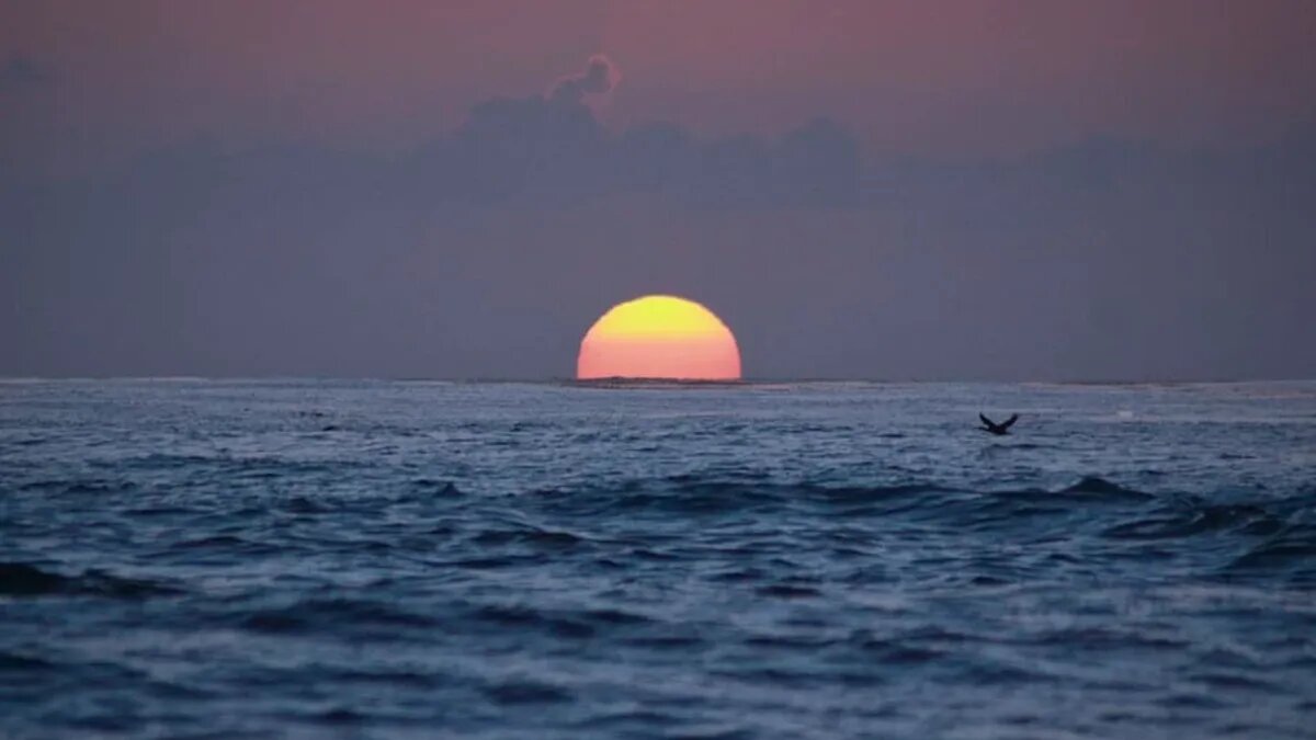 Магнитные колебания в Новом году. Фото: www.piqsels.com