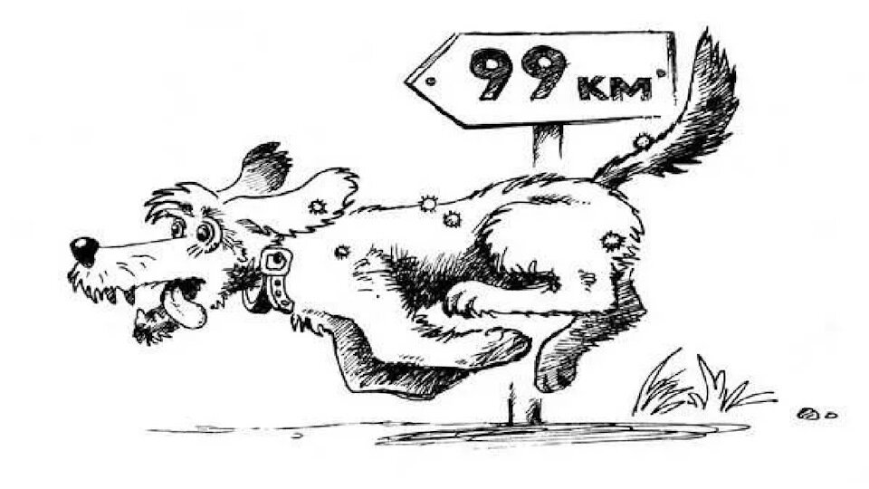 Яндекс-картинки.