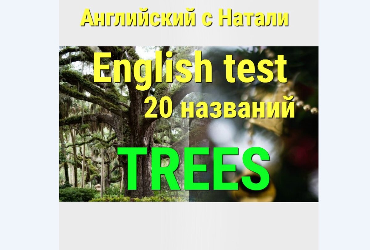 4:20 арт. английский порядковые числительные от 1 до 20. 4 20 картинки. 4 20 на английском. 4 20 на английском.