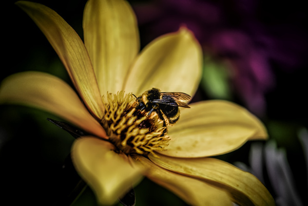 Фото © Freepik / wirestock