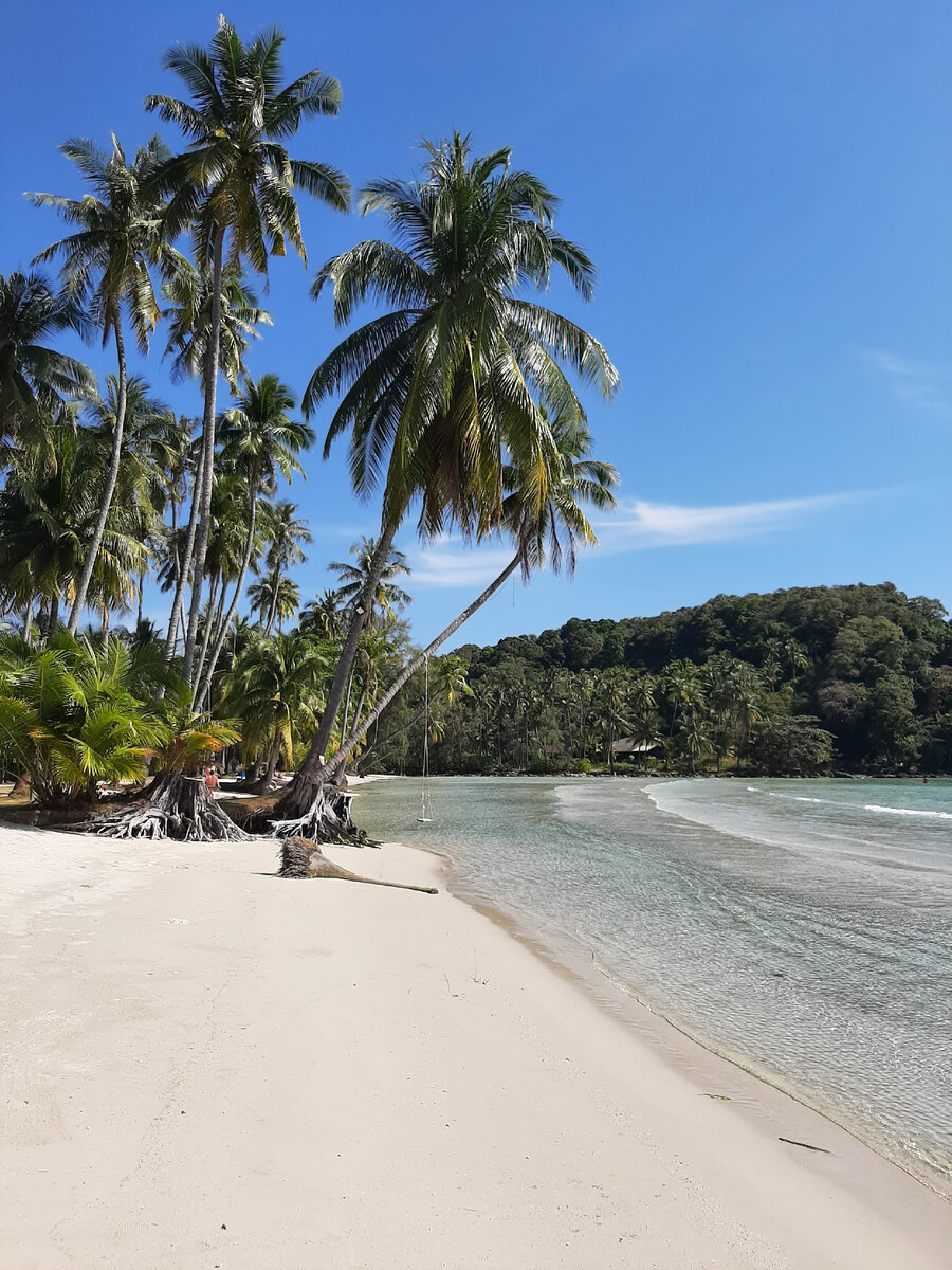 остров ko kut. паттайя туры на ко куд из паттайи в мае 2021. остров ко куд клонг хин кокосовая лагуна. баунти остров таиланд. ко куд экскурсия.