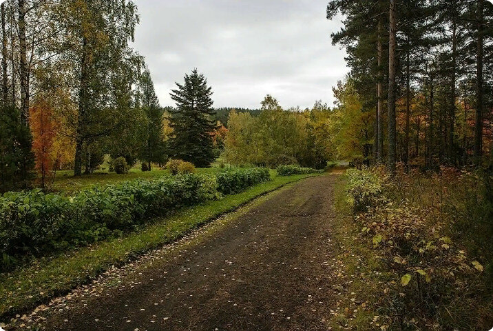 Ботанический сад петрозаводск фото