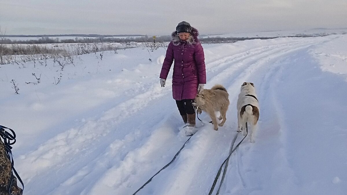 Выспаться.... мечта )))