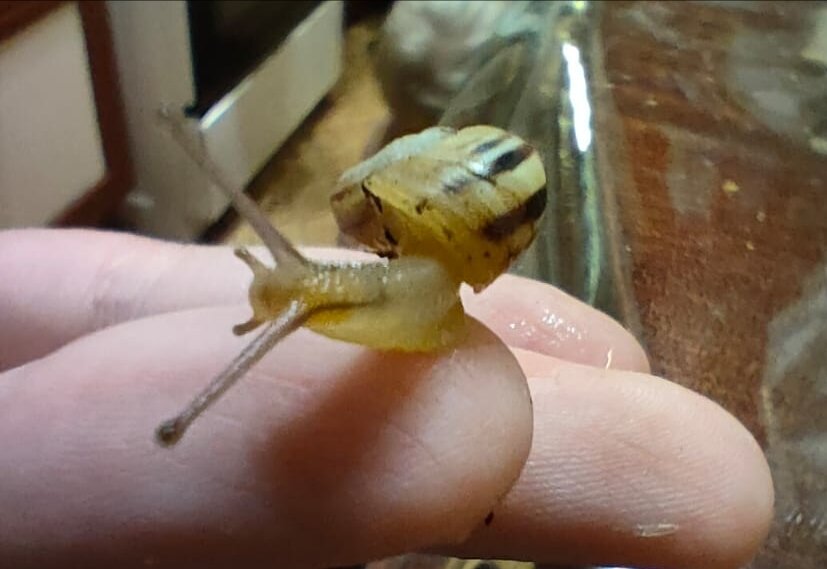 Сааам ползает по мне. 