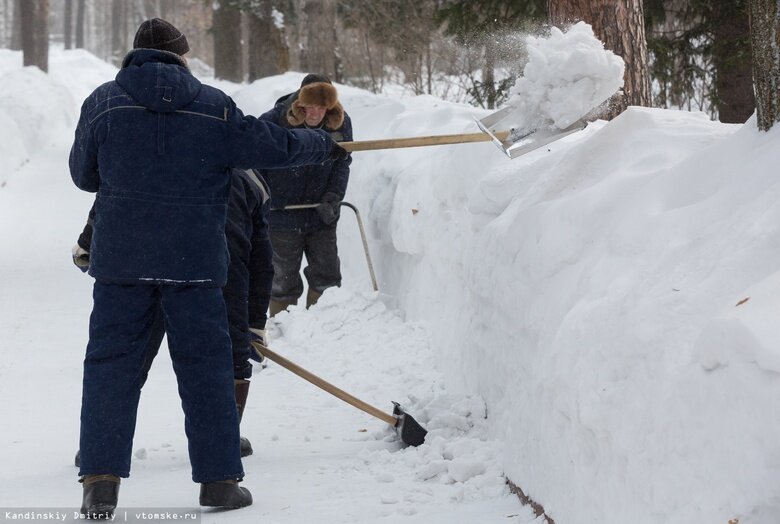    Фото: Дмитрий Кандинский / vtomske.ru