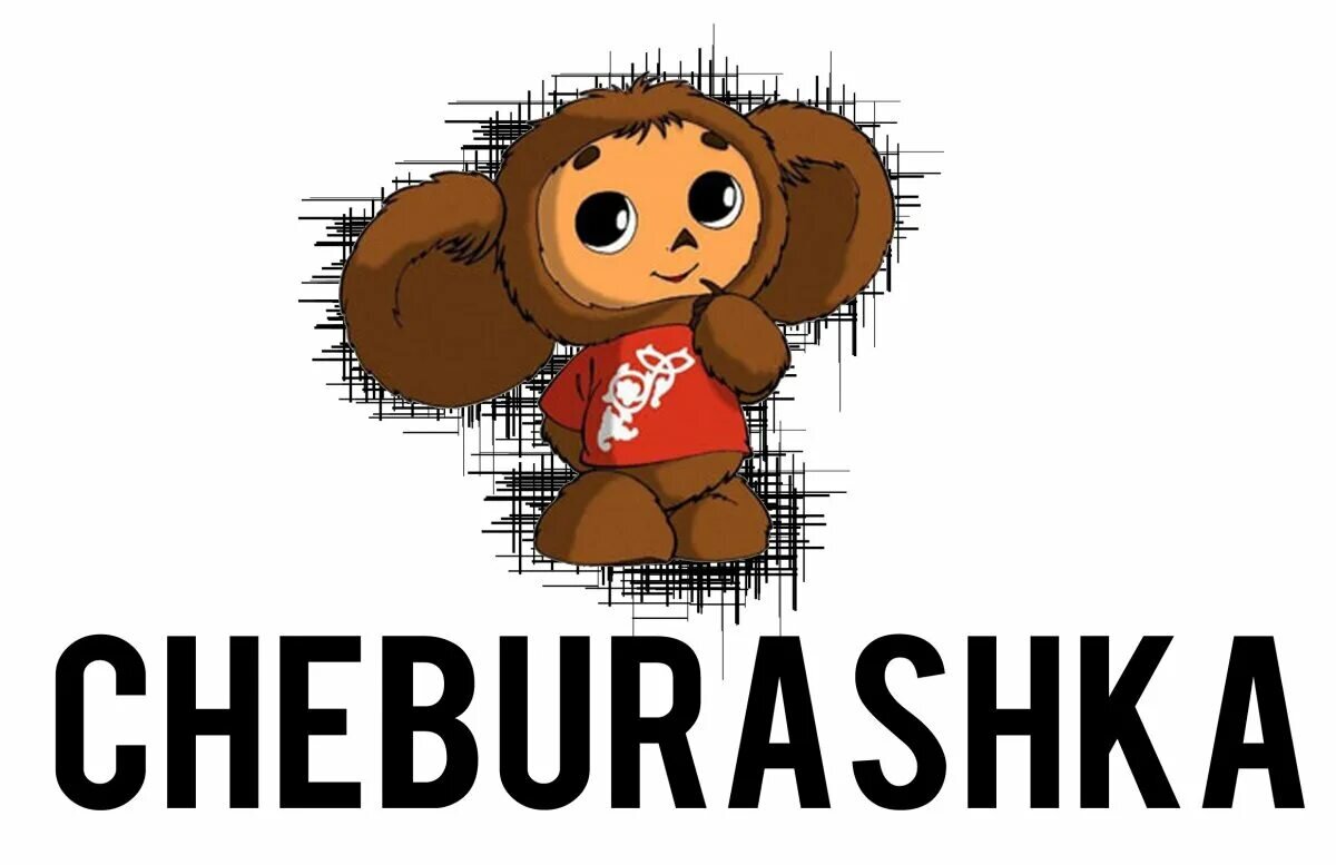  Фото из  открытых источников