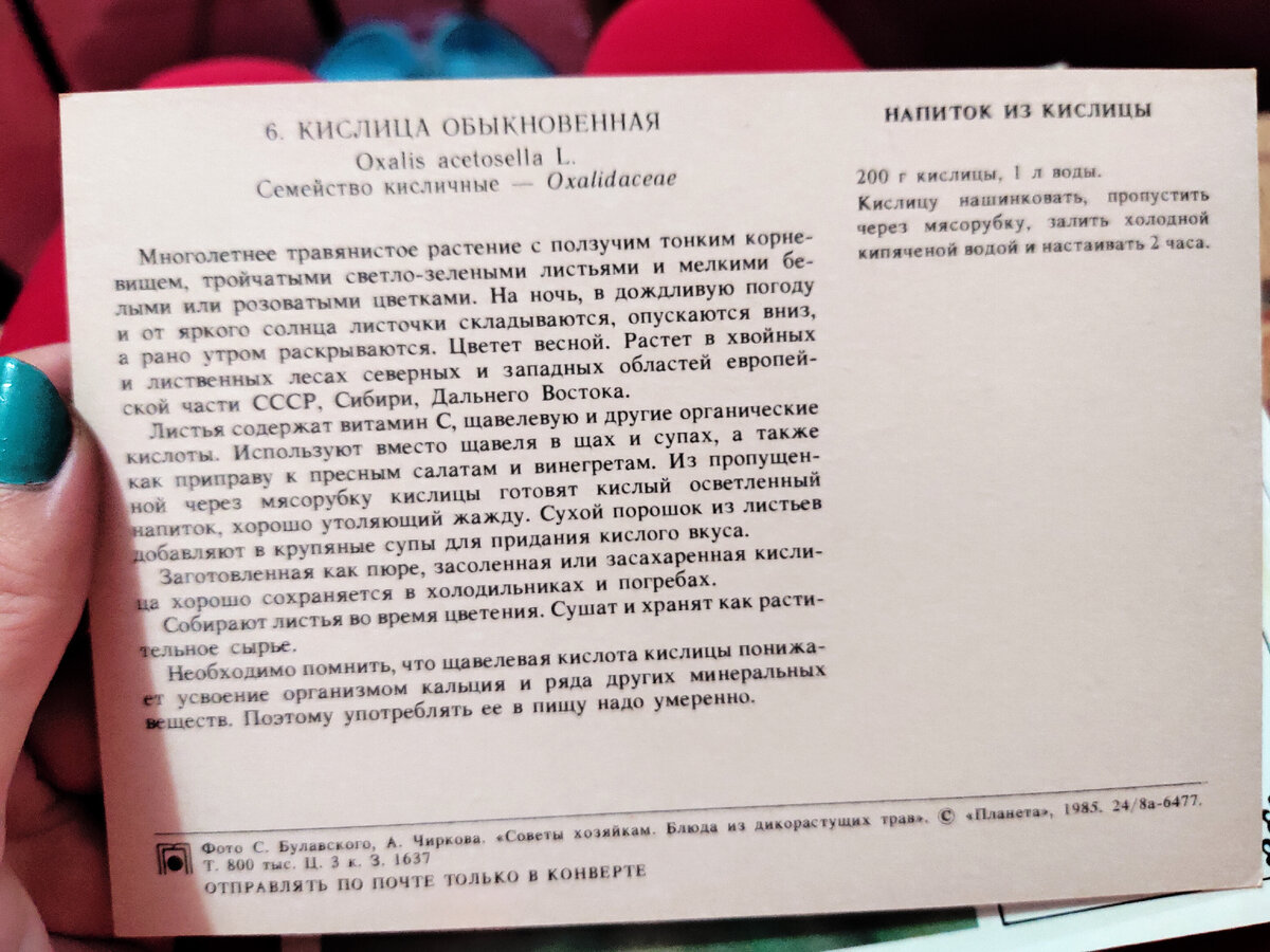 15 экзотических блюд советской кулинарии. Это вам не каша из топора. Рецепты  на открытках. | Читающий хомяк | Дзен