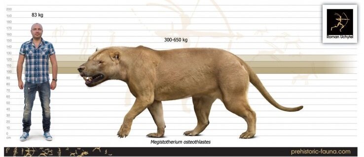 эпицион размеры, мегистотерий, самый крупный наземный хищник за всю историю земли, epicyon haydeni