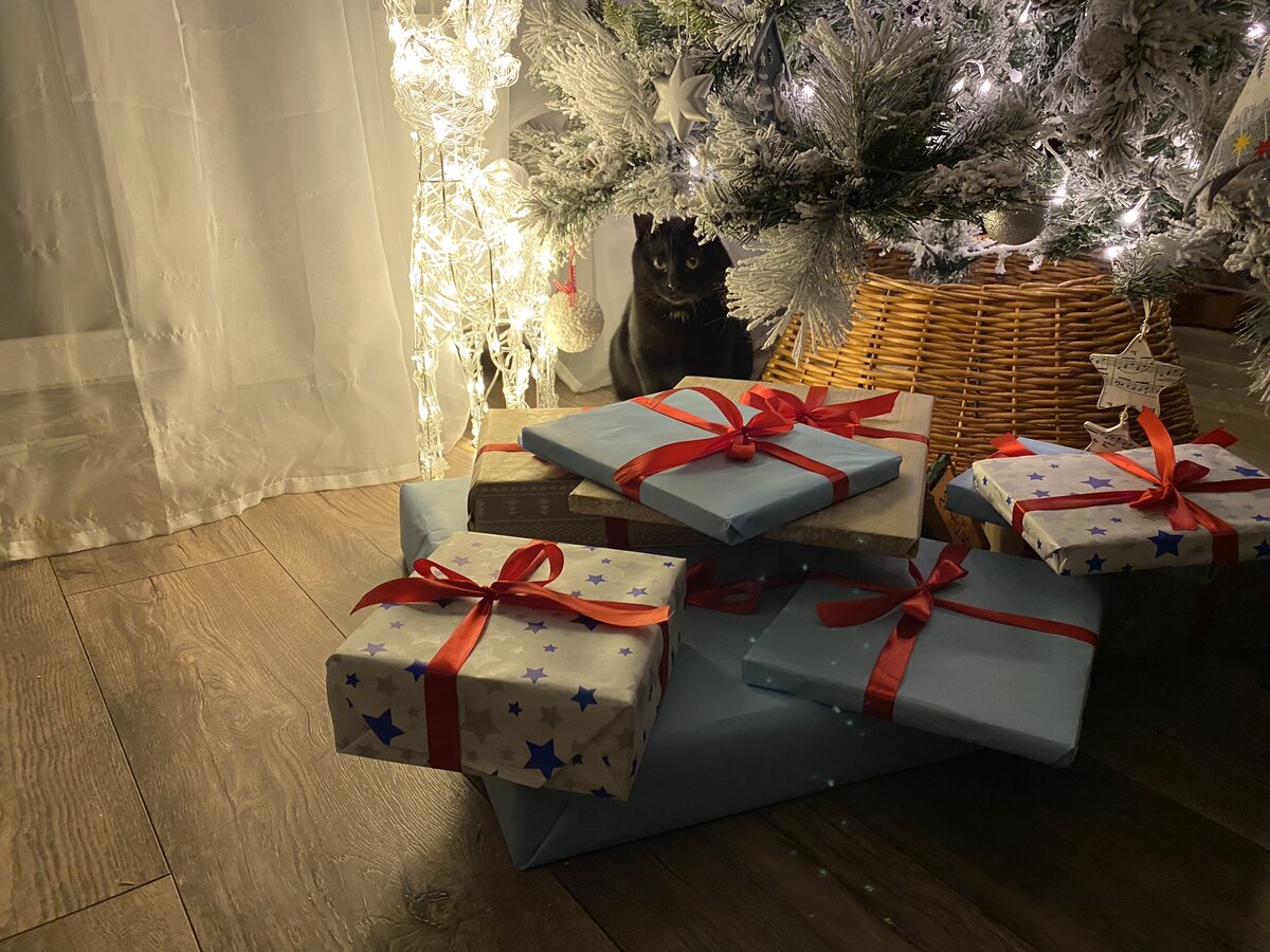 Крадущийся тигр, затаившийся под ёлкой дракон