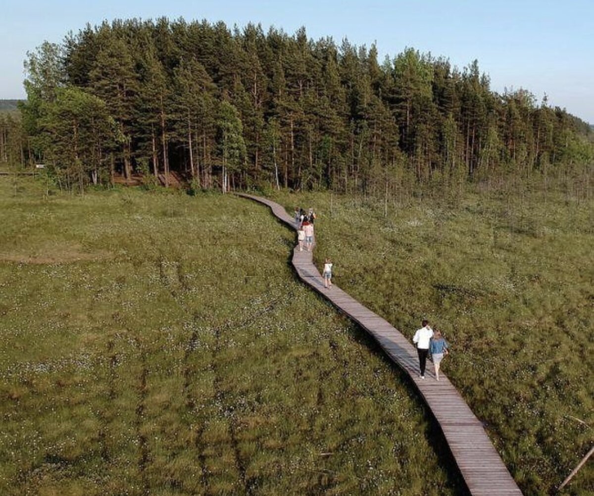 Trail спб. Сестрорецк экотропа. Сестрорецк Болотная тропа. Тропа Сестрорецкое болото экотропа. Эко тропа Сестрорецк.