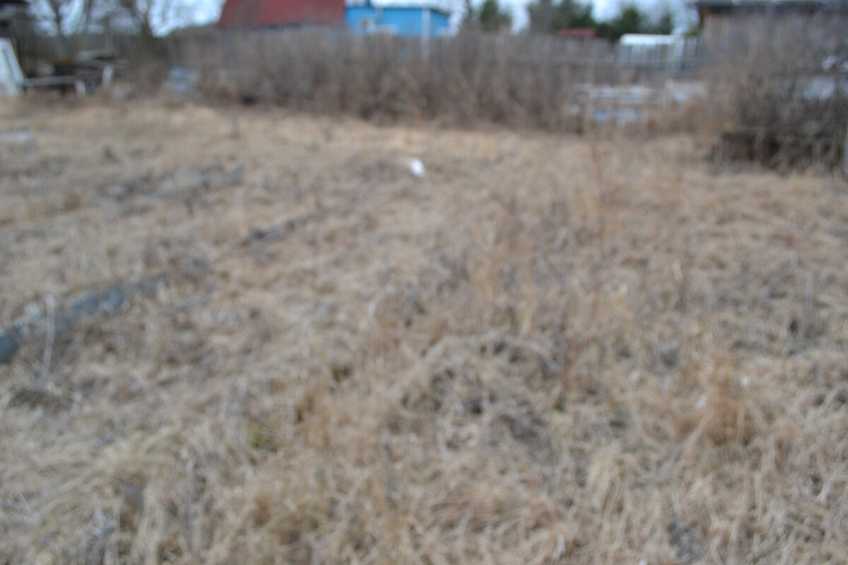 Фронт работ. 