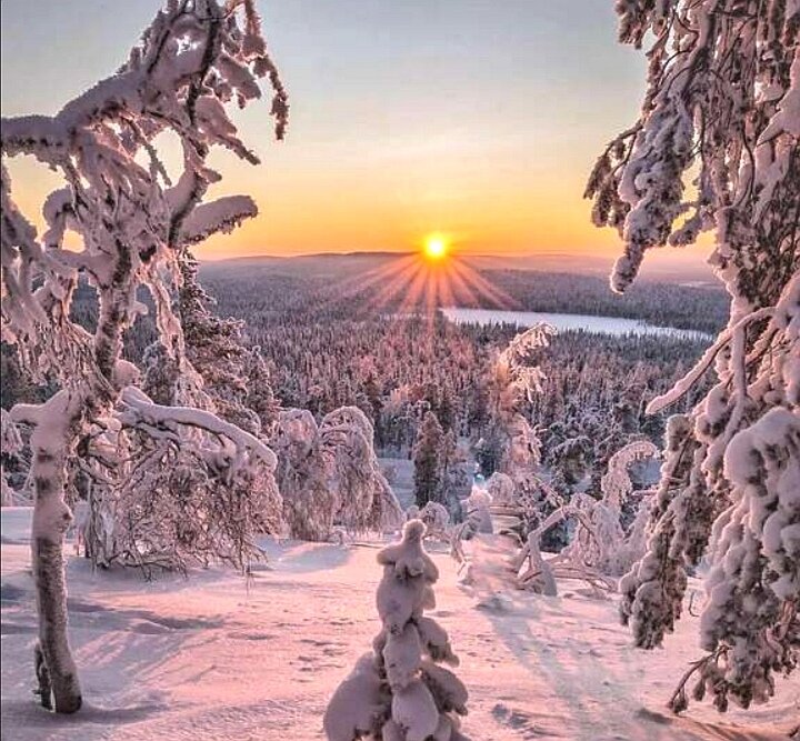 Солнце в феврале... 