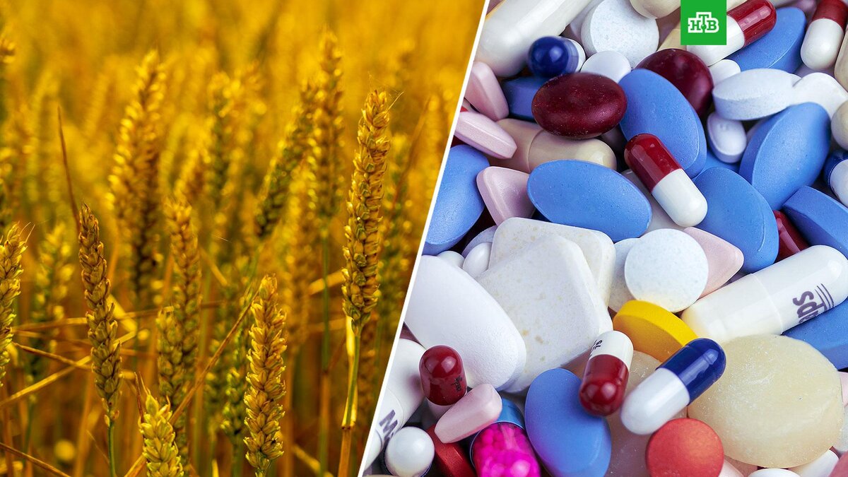    Фото: Nick Fewings, Myriam Zilles / unsplash.com