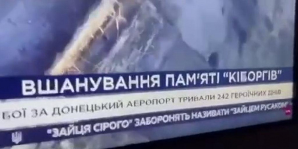    На Украине запретили называть серого зайца «русаком»