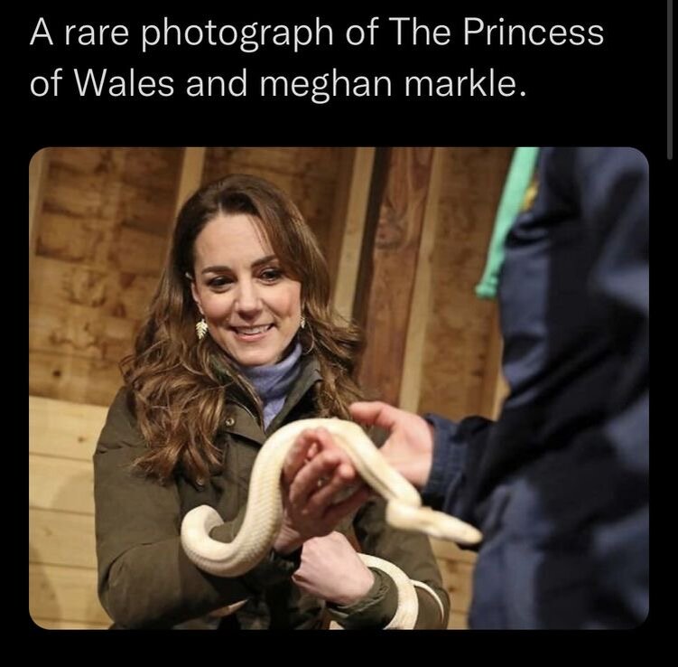 мем из соцсети: «редкое фото принцессы Уэльской и Меган Маркл»