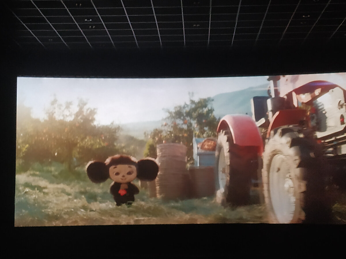 Кадр из к/ф "Чебурашка"