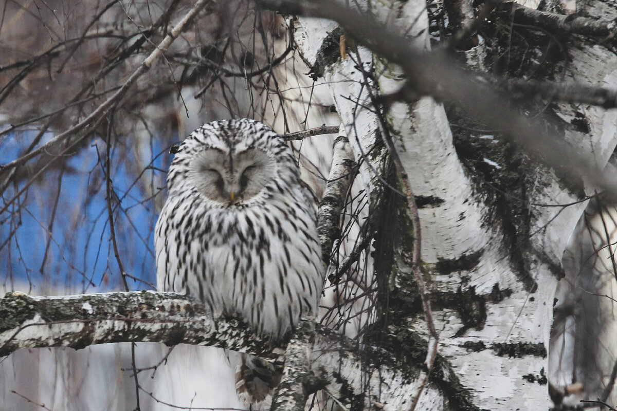Фото: Тимур Шарипкулов