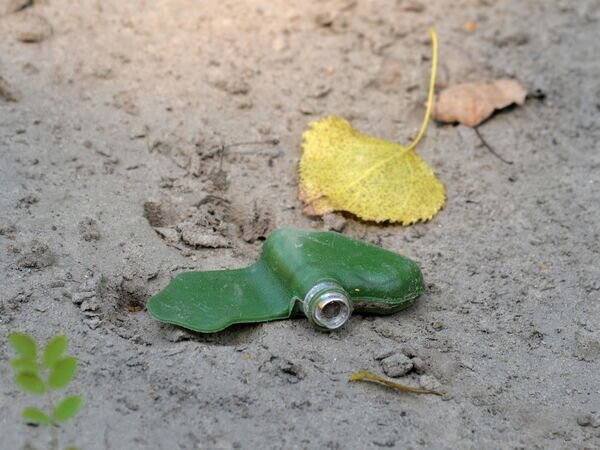    © РИА Новости Виктор Антонюк