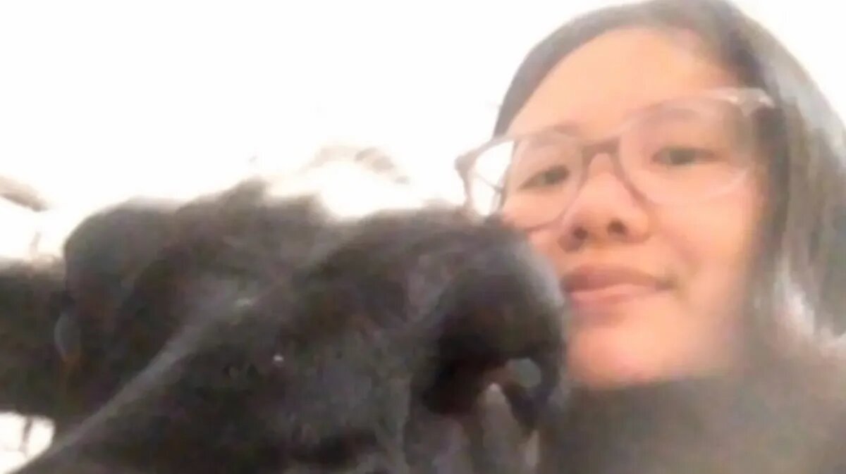 Алиса Дэй. Фото: Вконтакте