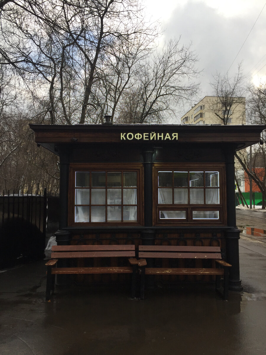 Фото сделано автором и принадлежит автору 