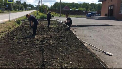 Образовательный комплекс дизайна и технологий (Бывший Колледж ландшафтного дизайна № 18)