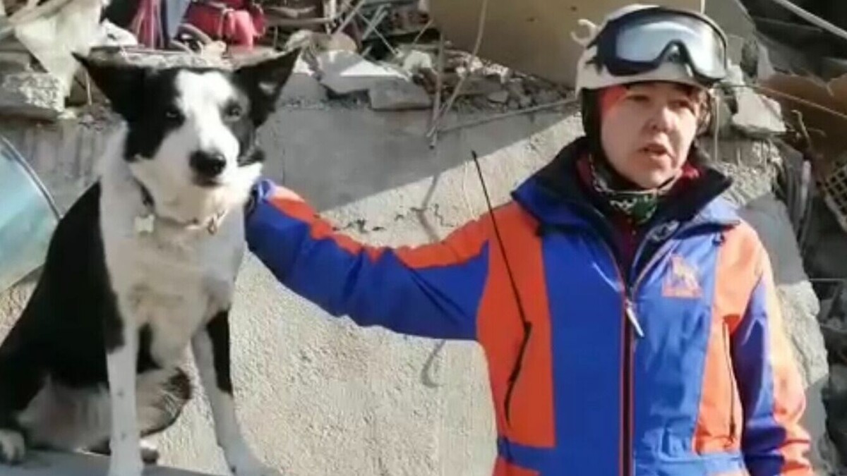     Бордер-колли Торин помог башкирским спасателям.