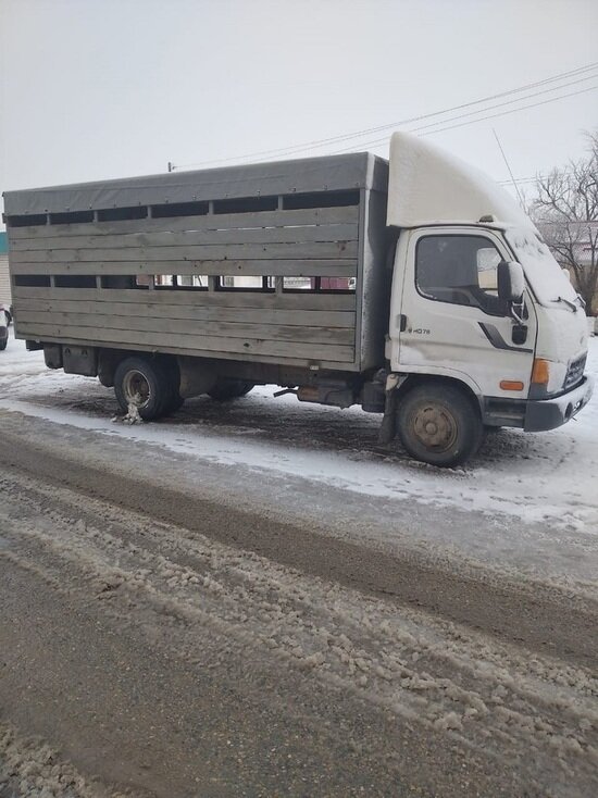     фото: мвд калмыкии