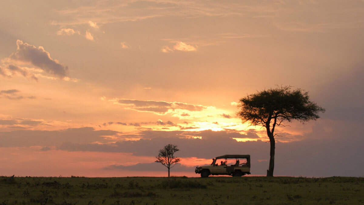 Яндекс. Открытый источник 
