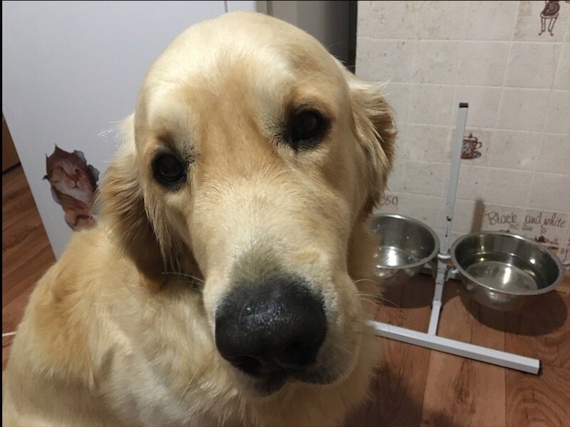 Вкусно, но мало….