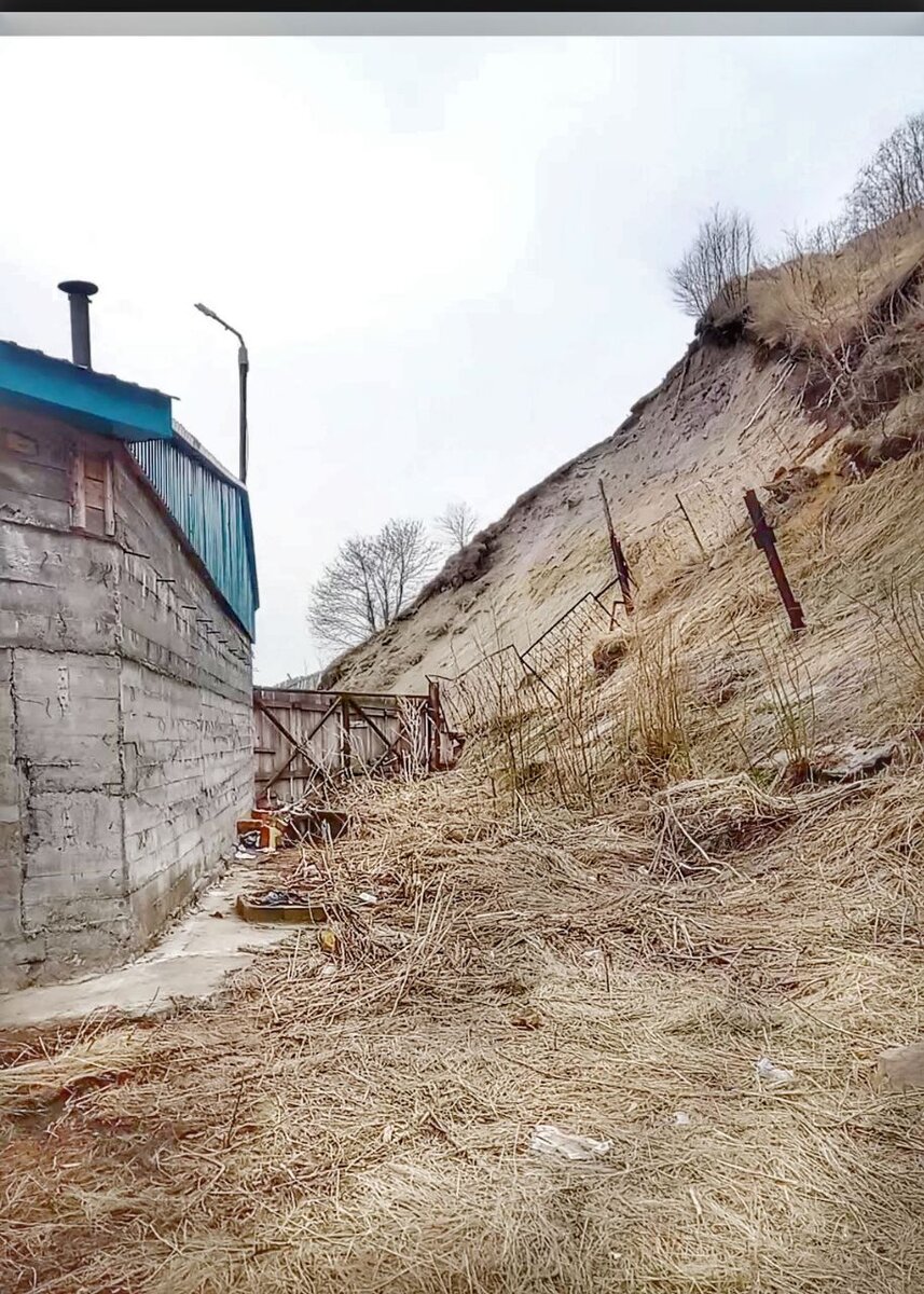 Лежбище сивучей по версии интернета. 
