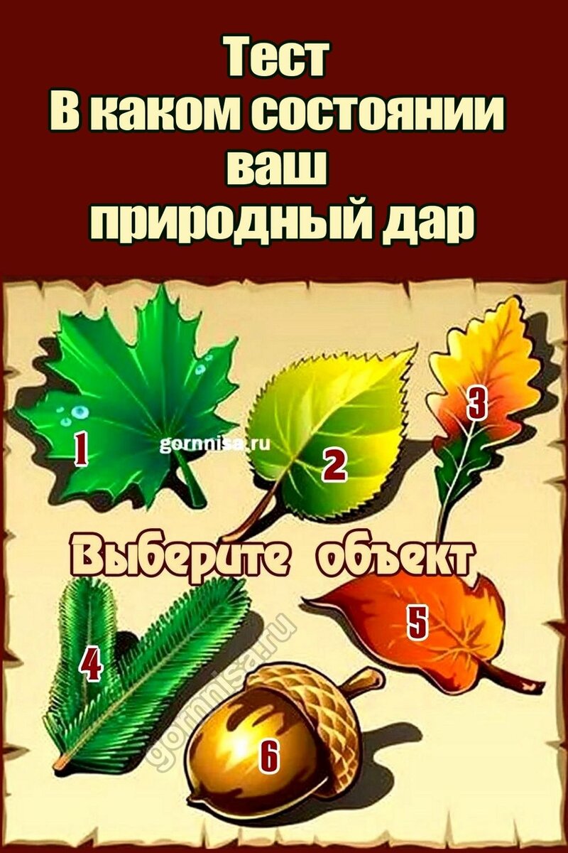    Тест — В каком состоянии ваш природный дар Pavlov A
