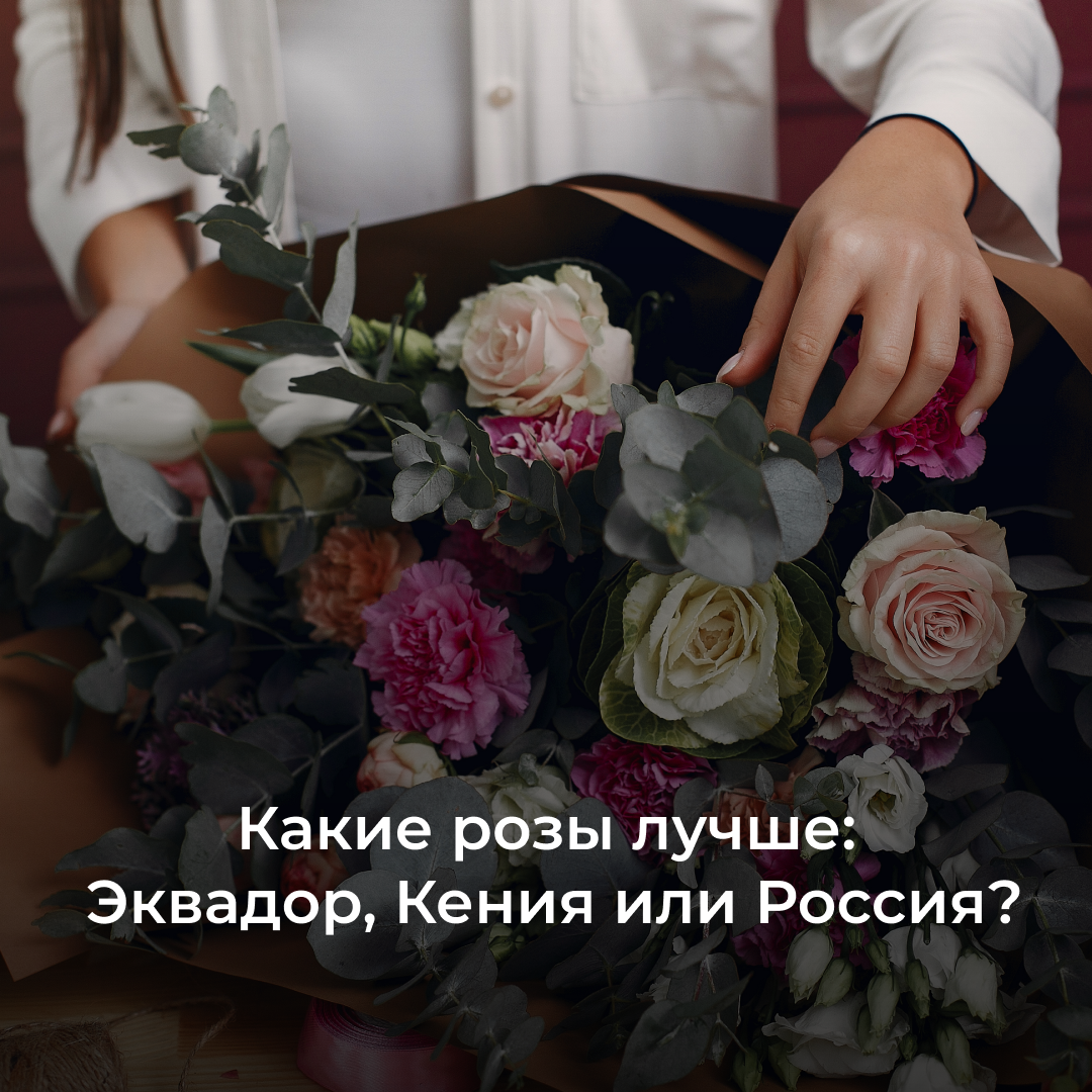 Какие розы лучше: Эквадор, Кения или Россия? | Цветы оптом | Grand Flowers  Group | Москва | Дзен