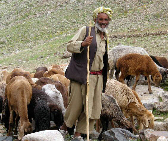 фото из интернета.