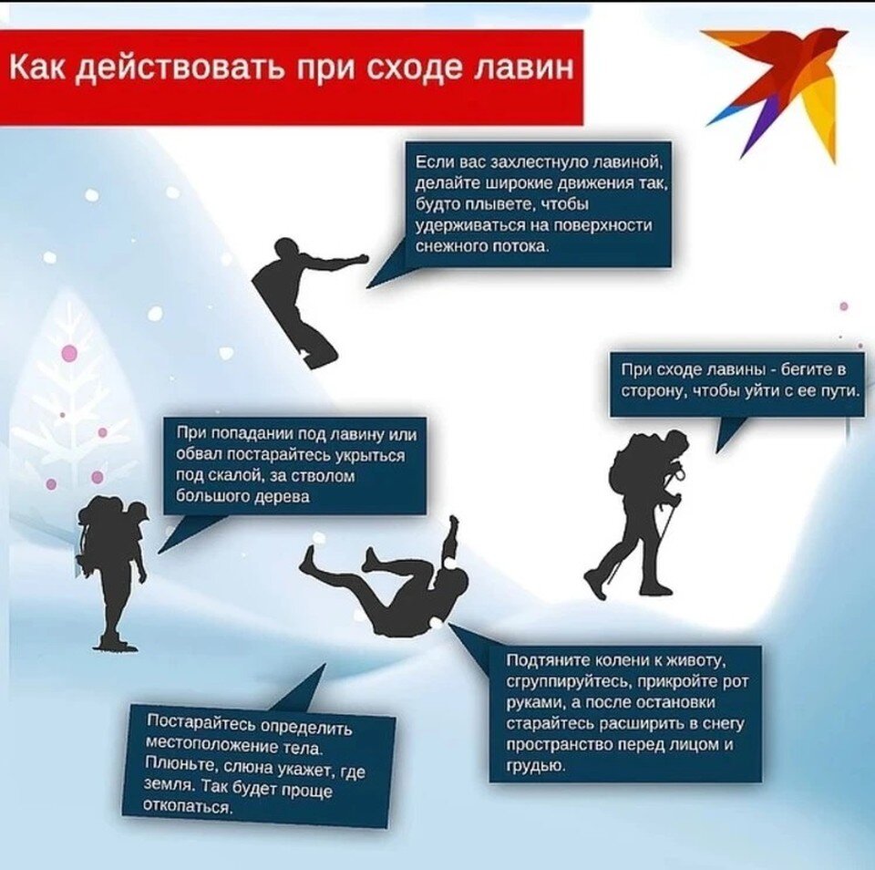     Как действовать при сходе лавин. Фото: Ольга СУХОВА