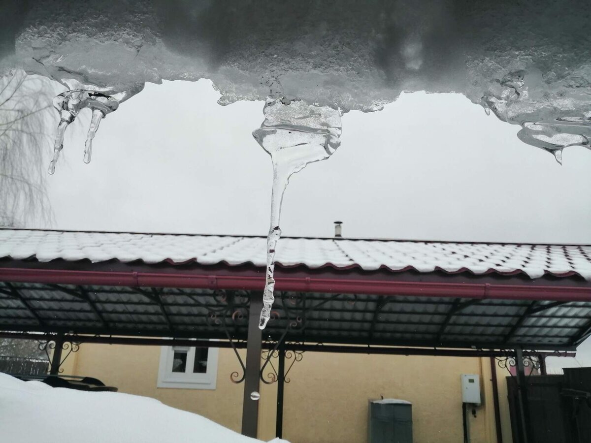 Фото автора.