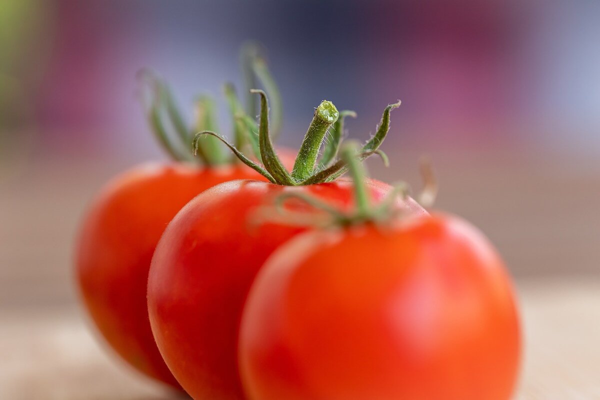 Чтобы вырастить богатый урожай питательных и вкусных <b>томатов</b>, важно не толь...