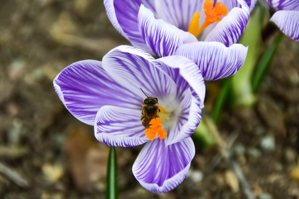 Фото: Гала Амарандо