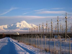    Фото: naked-science.ru Наталья Анисеева