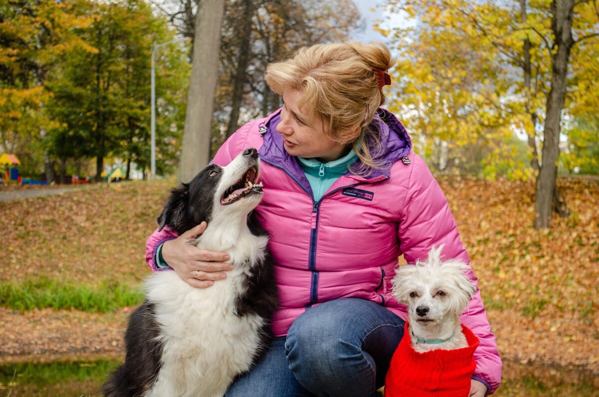 Я и мои собаки