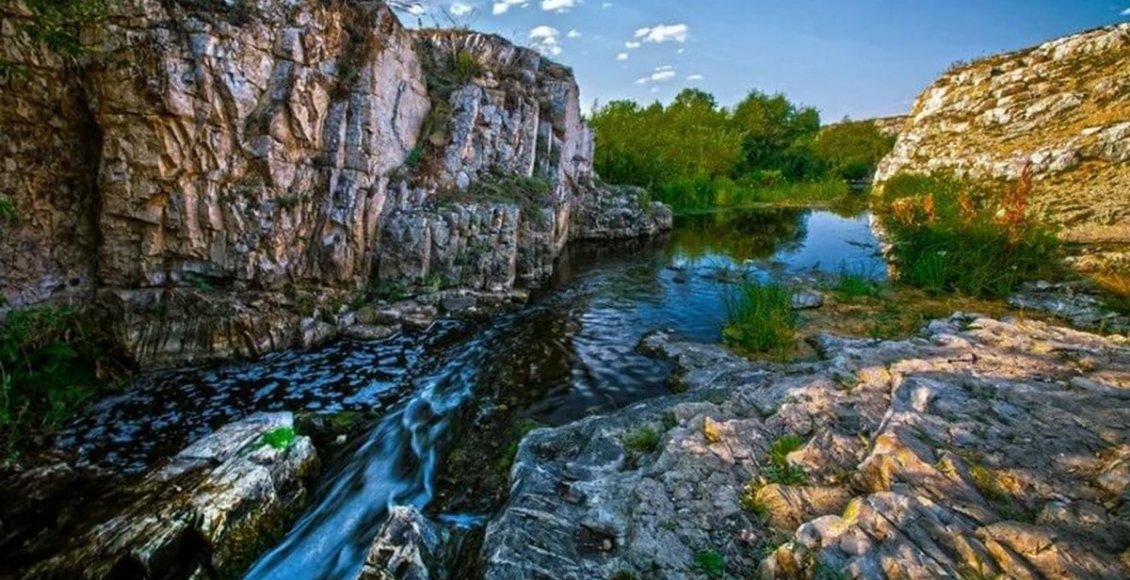    Фото: из открытых источников