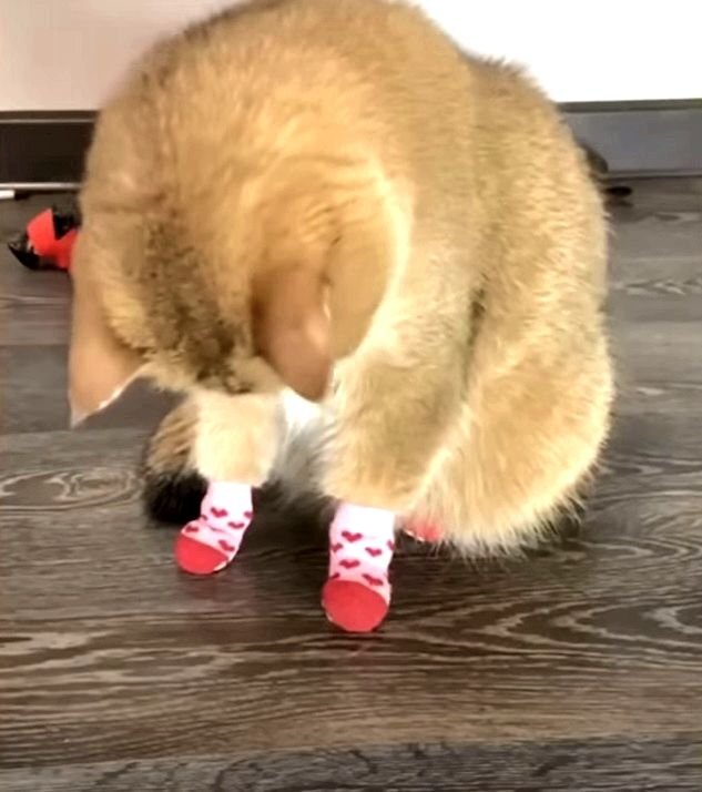 Вау, какая я теперь моднячая...