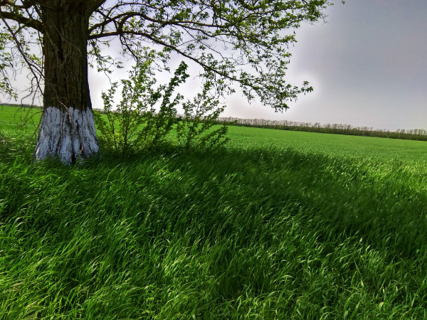 По дороге в Матвеев Курган. Фото автора