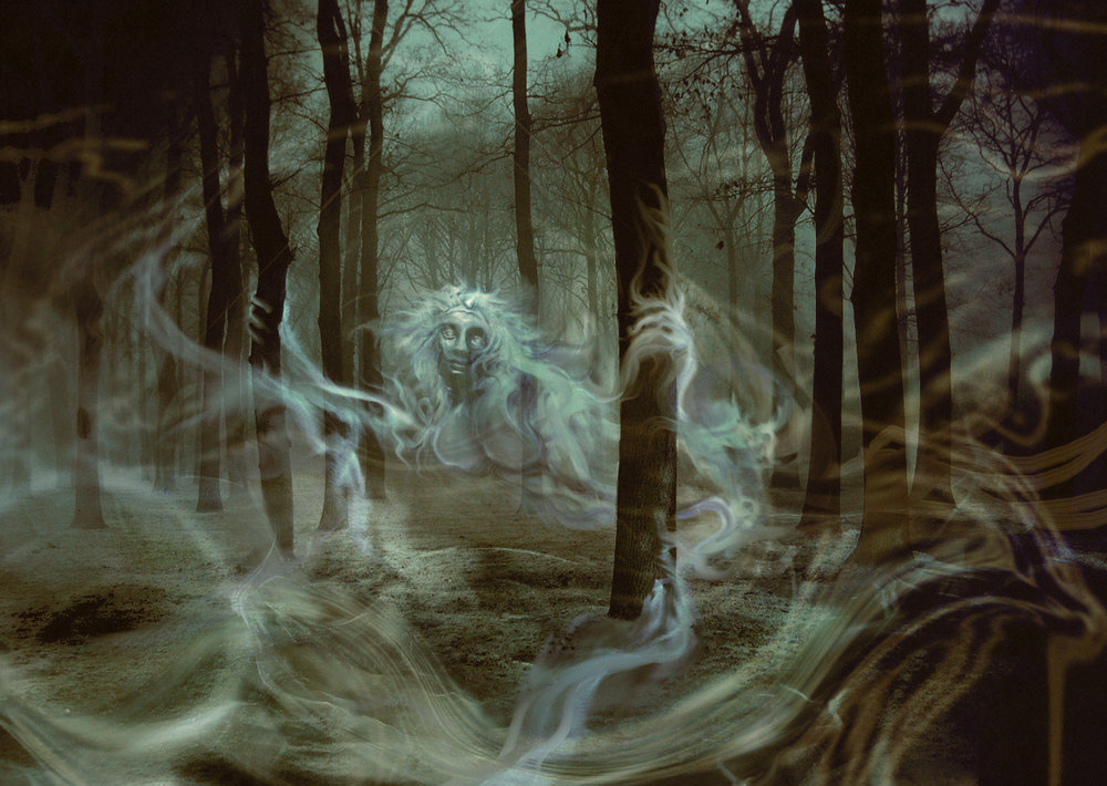 «Там лес и дол видений полны...»