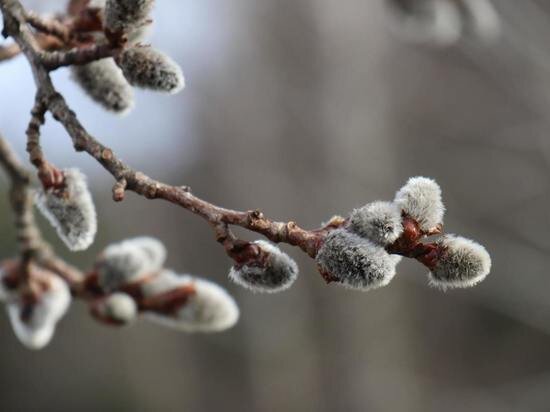 ФОТО: UNSPLASH.COM 